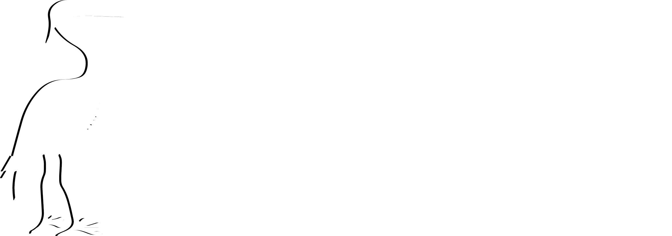 Home - The Crane Consulting Firm